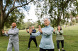 © McKinsey Jordan/Stocksy - Group of Elders Meet in the Park to Workout