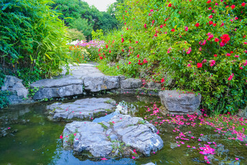 View of the pond with a stone path