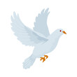 white dove icon