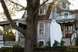 © Raymond Forbes Photography/Stocksy - Ghost balancing in  Tree Halloween Decoration at home