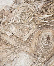 Wood Grain Patterns, Close Up