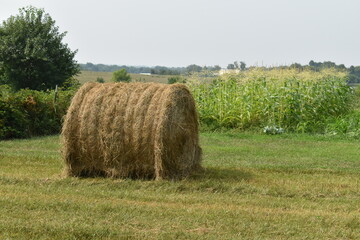 Wall Mural - Hay Bale by a Garden