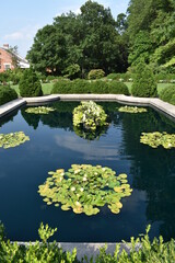 Sticker - Pool in a Flower Garden