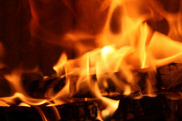 Poster - Macro shot of bonfire flame over the black background