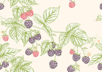 Wall Mural - Blackberry. Ripe berries on branch. Seamless pattern, background. Graphic drawing, engraving style. Vector illustration on soft yellow background..