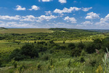 Fototapeta Sawanna - Rural Russian landscape with green fields and sparsely wooded areas in summer. Beautiful landscape with fields and green vegetation under a blue sky with white cumulus clouds in the countryside.