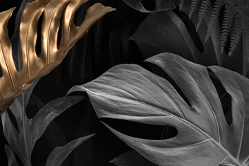 Wall Mural - Gold and black Monstera Deliciosa leaves