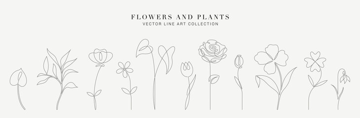 Sticker - Botanical arts. Hand drawn continuous line drawing of abstract flower, floral, ginkgo, rose, tulip, bouquet of olives. Vector illustration