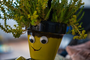 Sticker - Closeup view of googly eyes on a yellow pot with a plant growing inside on a blurry background