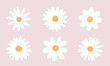 Set of daisy flowers icons isolated on pink background vector illustration.