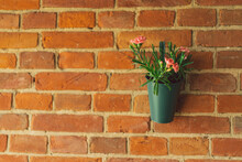 Ranunculus Flowers In Vases Hang On A Brick Wall. Brick Background On The Terrace. Beautiful Flowers In A Vase.