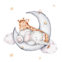 Cute Giraffe And Elephant Sleeping On The Moon; Watercolor Hand Drawn Illustration; With White Isolated Background