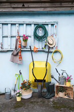 Beautiful Plants, Gardening Tools And Accessories Near Shed Outdoors
