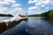 Scientist takes samples of dirty water from a pond. Hand is collects water in a test tube. Lake water pollution concept.
