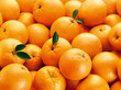 fundo com laranjas