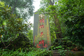 Wall Mural - 東京都八王子市の高尾山を登山している風景 Scenery of climbing Mt. Takao in Hachioji City, Tokyo.