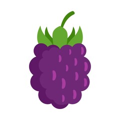 Canvas Print - Wild blackberry icon flat isolated vector