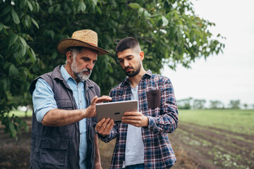 Wall Mural - farmers using digital tablet outdoors