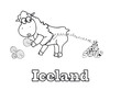 Owca islandia