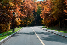 Highway Through Autumn Park Forest. Bright Yellow And Red Foliage Of The Trees Beside Of An Asphalt Road Going In Upward.