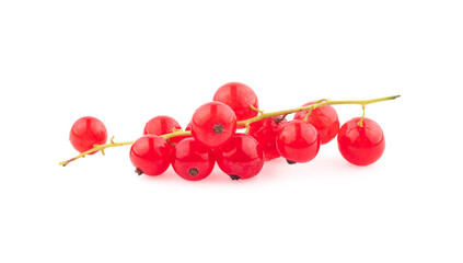 Wall Mural - Red currant berries with leaf isolated on white background