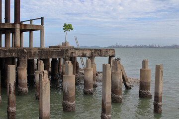 Sticker - A platform made of steel concrete, which is located in an abandoned place or temple building directl