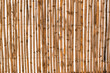 Bambus Hölzer
