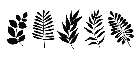 Set of beautiful leaves plants, leaves, plant design. Vector illustration 10. 