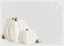 A Pair Of Textured White Pumpkins In The Corner On A Rustic Background
