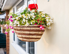 Hanging Basket Of Bright And Vivid Flowers Hanging On The Exterior Of A Small Bungalow