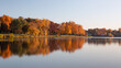 Fall colored leaves on autumn trees in a forest reflecting on a lake during golden hour in the midwest_13