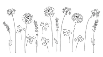 Wall Mural - monochrome different flowers on stems set