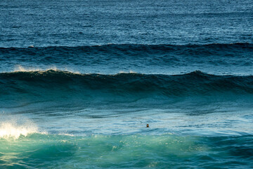 Wall Mural - wave breaking in the ocean with Bodysurfer swimming in the waves 