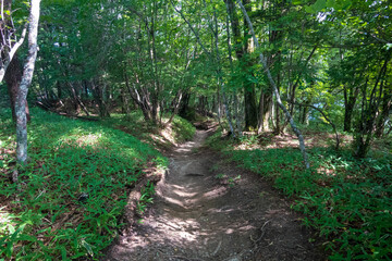 山梨県北杜市の日向山を登山している風景 A view of climbing Mount Hyuga in Hokuto City, Yamanashi Prefecture.