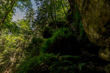 Fototapeta Natura - Sächsische Schweiz