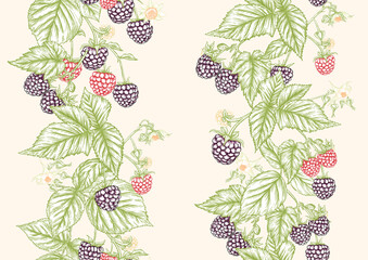 Wall Mural - Blackberry. Ripe berries on branch. Seamless pattern, background. Graphic drawing, engraving style. Vector illustration on soft yellow background..