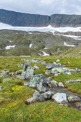 Sticker - Glacier on a rock face and a stream at the meadow