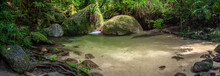 Panorama Of River And Surrounding Rainforest