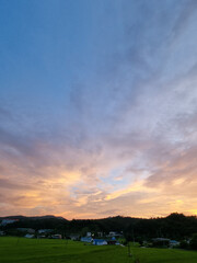 Canvas Print - Vanilla sky and evening countryside