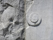 spiral carved in freestone on the wall of the Rijksmuseum