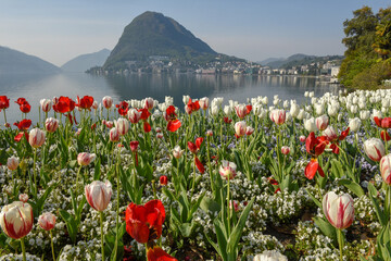 Wall Mural - Flowers of the botanical garden, lake of Lugano and mount San Salvatore in Switzerland