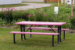 © Heather - Pink picnic table with black wrought iron legs. Purple coneflowers in background.