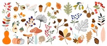 Autumn Big Collection With Botanicals, Differents Plants And Leaves, Mushroom, Pumpkins, Berries, Elements Isolated