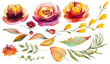 Autumn Watercolor Collection With Orange And Red Leaves And Flowers
