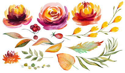 Autumn Watercolor collection with orange and red leaves and flowers