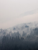 Fototapeta Krajobraz - Trees on the side of a mountain in a valley covered by smoke from Forest Wildfire. Nature Disaster. Lytton, British Columbia, Canada.