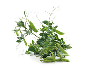 Poster - Green pea pods with leaves.