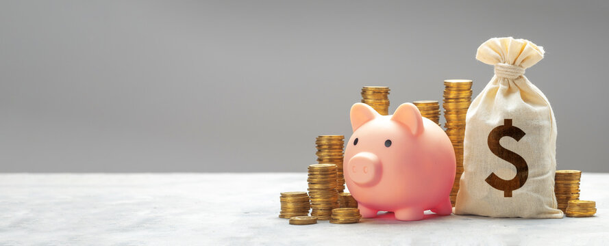 piggy bank and bag with money and gold coins. the concept of a good investment or a good savings. te