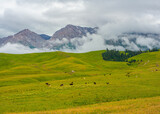 Fototapeta Krajobraz - Landscape with mountains and clouds. Tian Shanh, Tekes river. Kazkh traditional horse breeding.