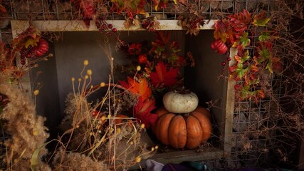 Poster - Backyard patio with autumn decorations